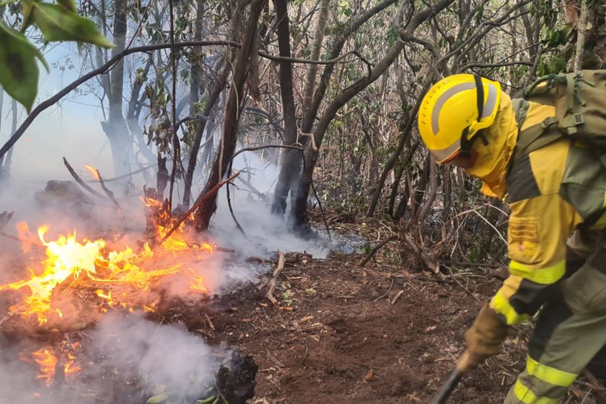 Los esfuerzos en el incendio de Tenerife se concentran en el Sauzal