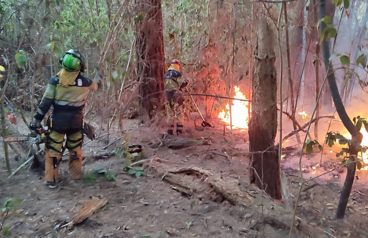 Los servicios de extinción del incendio de Tenerife logran controlar varias reactivaciones durante la noche