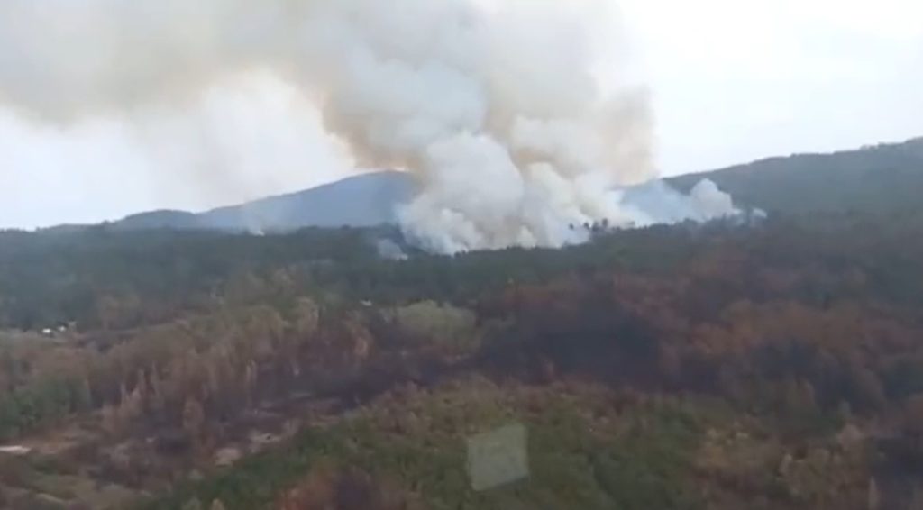 Los esfuerzos en el incendio de Tenerife se concentran en el Sauzal