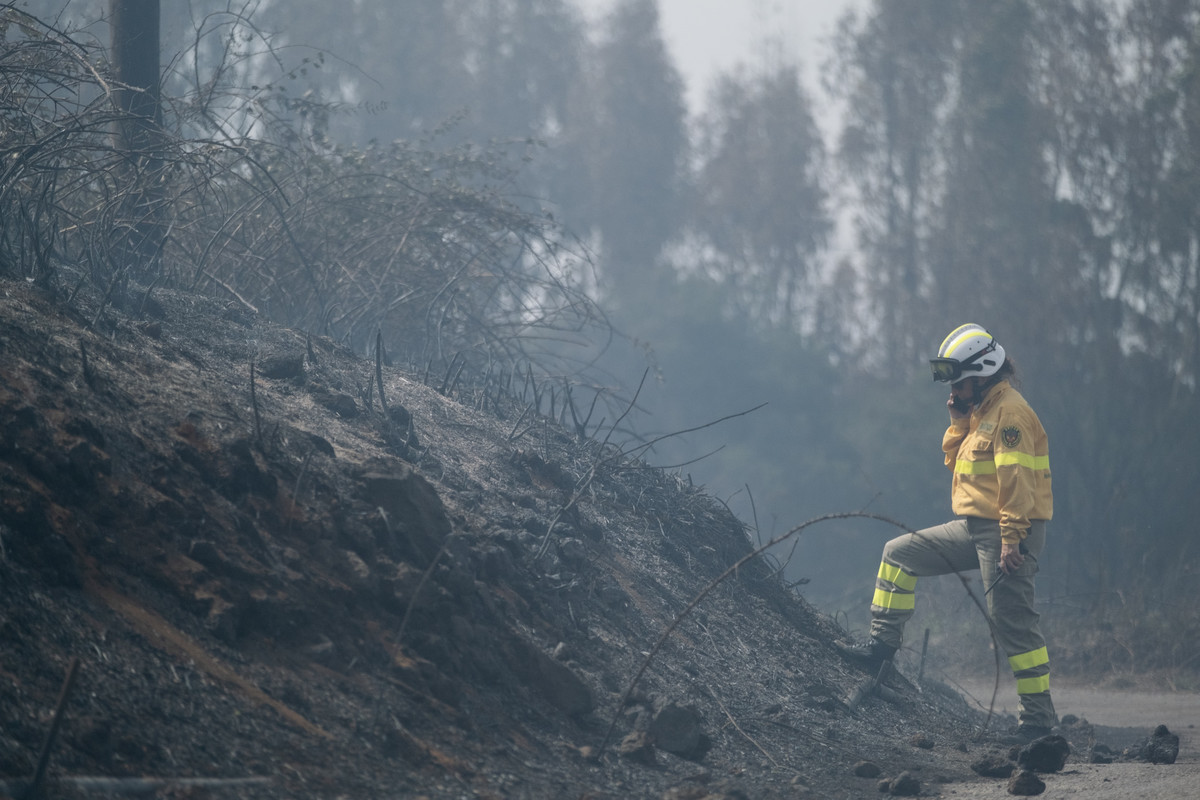 El viento, la gran amenaza del incendio de Tenerife, evita que los evacuados vuelvan a sus casas