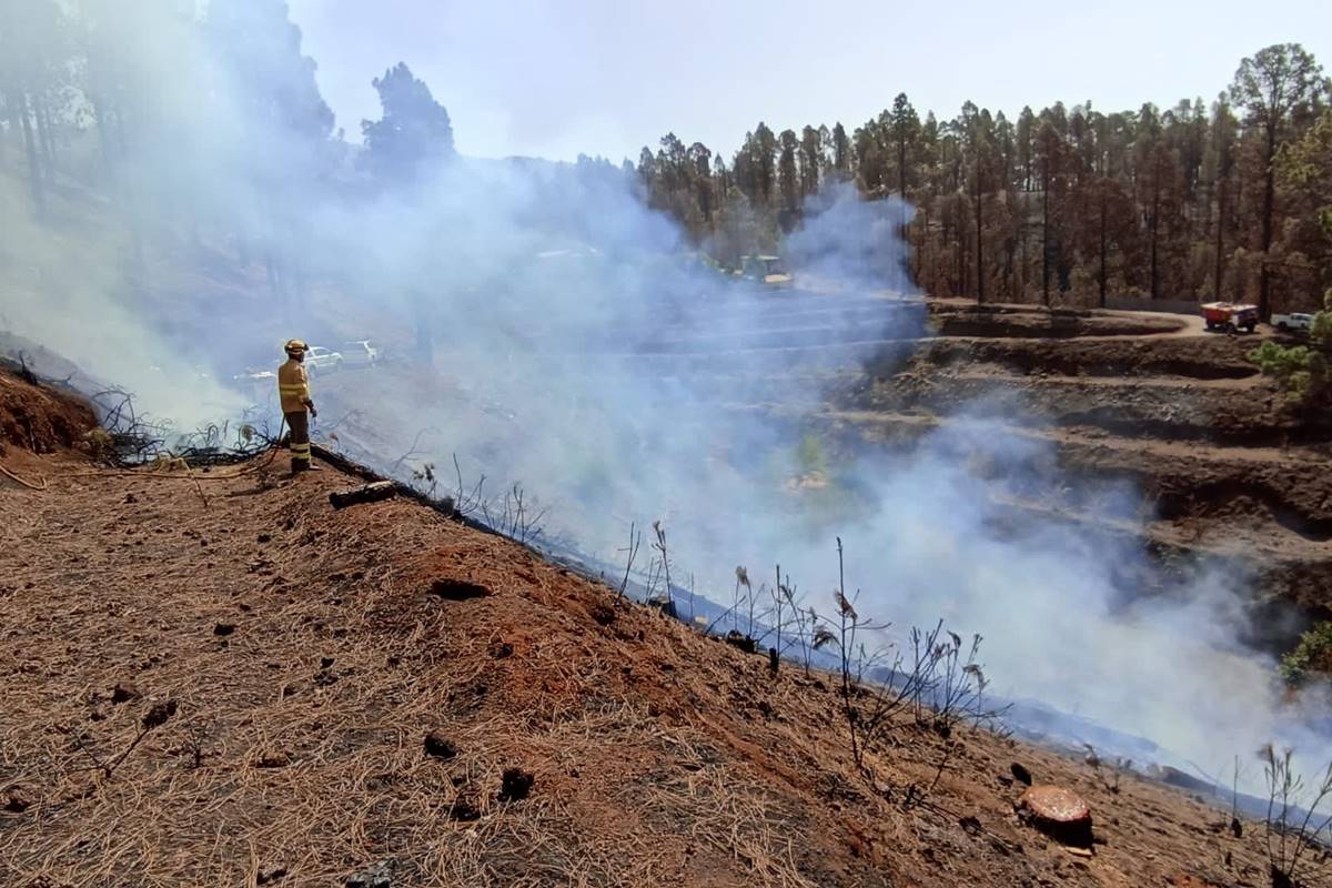 Conato de incendio en La Palma