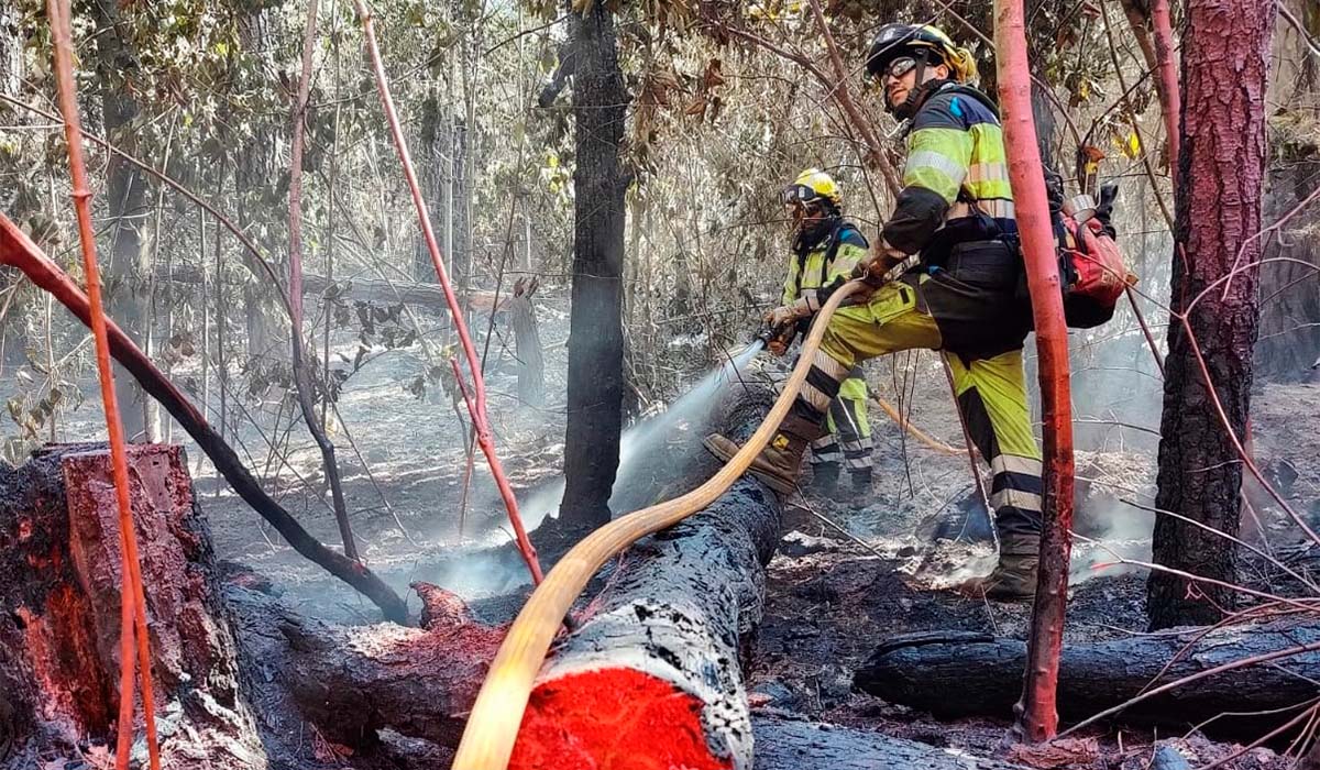 Culmina con éxito el despliegue de la historia contra incendios en Tenerife
