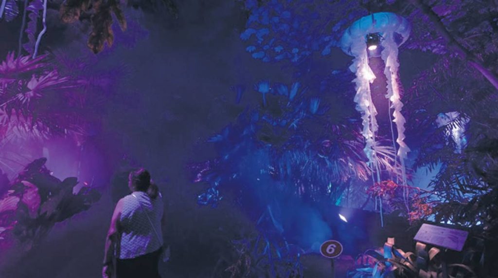 Naturaleza encendida: fechas, precios y modo de comprar las entradas para un espectáculo único en Santa Cruz