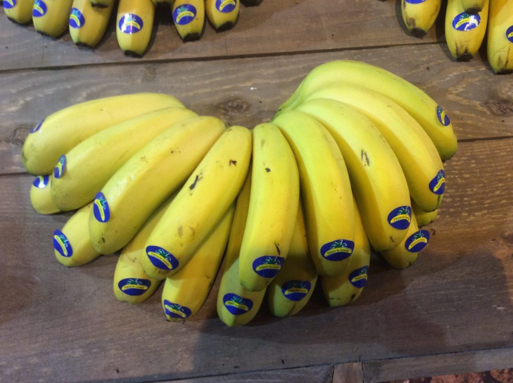 Las diferencias entre el plátano canario y las bananas son “notables”.