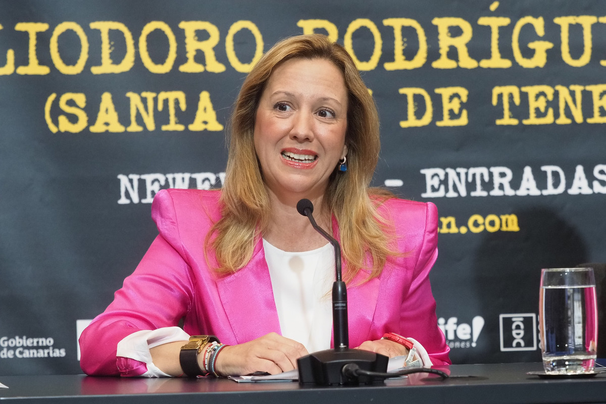 La presidenta del Cabildo de Tenerife, Rosa Dávila. Sergio Méndez