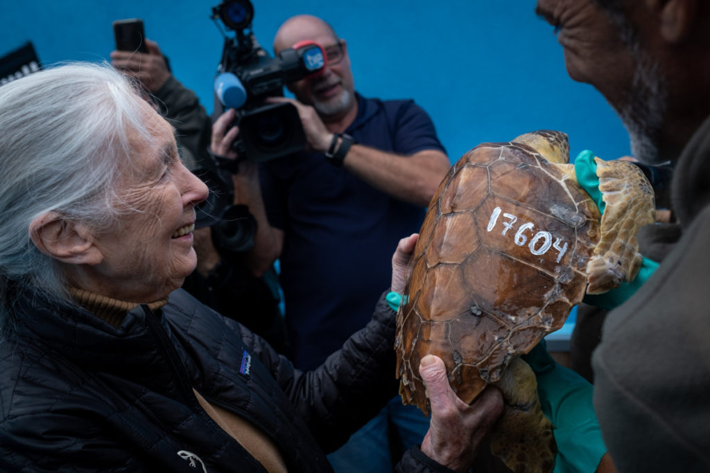 Jane Goodall elogia la lucha de los tinerfeños para proteger a los animales
