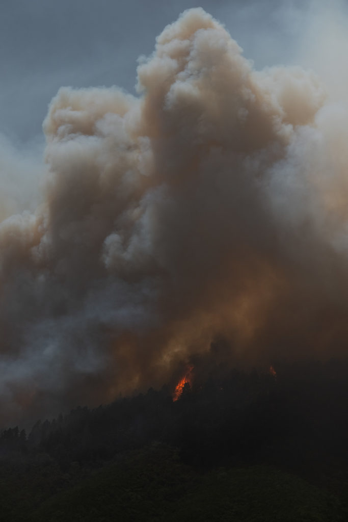 Detalle del incendio forestal del verano en Tenerife. Fran Pallero 