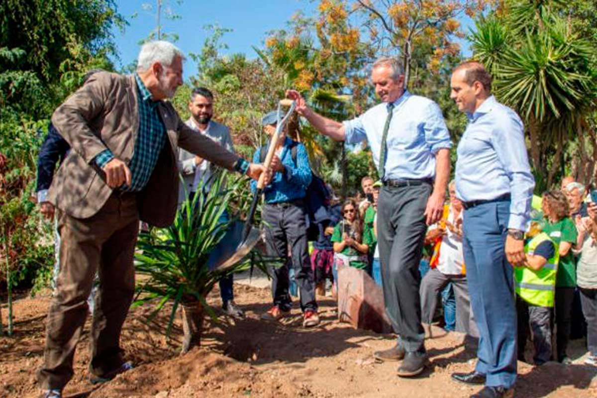 Adeje desarrolla el primer bosque comestible de Canarias contra el cambio climático