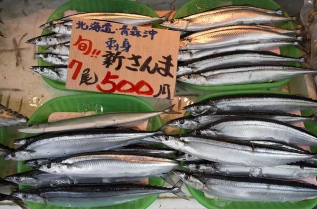 Aparecen cientos de toneladas de sardinas muertas en Japón