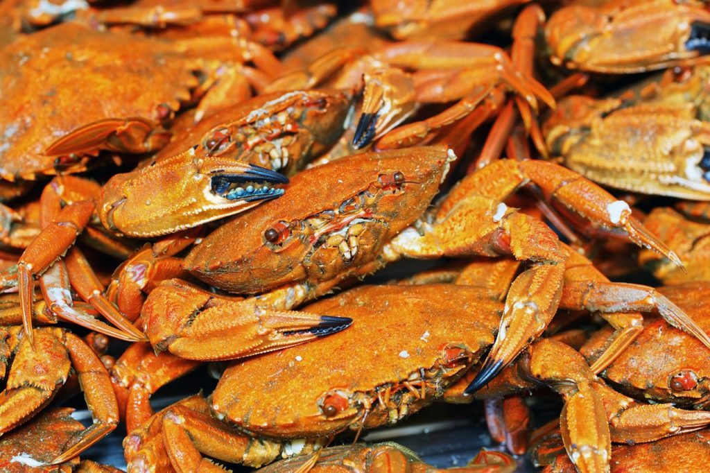 Ordenan la retirada en España de un marisco muy consumido por la presencia de Salmonella