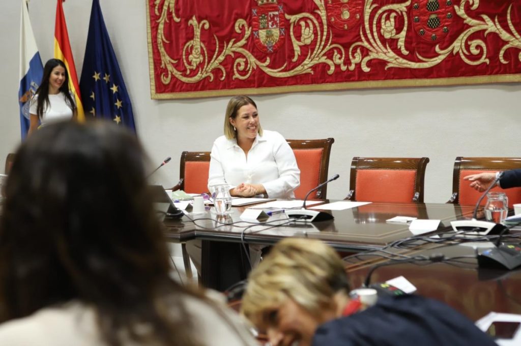 Astrid Pérez preside la Comisión General de Cabildos Insulares