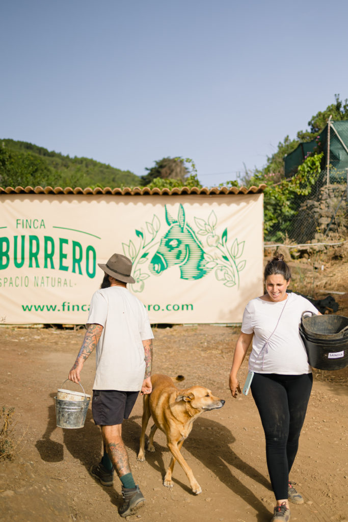 Finca el Burrero, el paraíso de Ana y Samu que triunfa en Tenerife