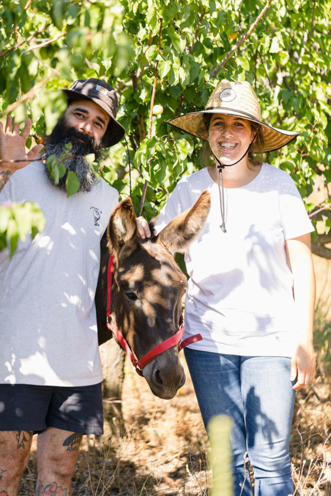 Finca el Burrero, el paraíso de Ana y Samu que triunfa en Tenerife