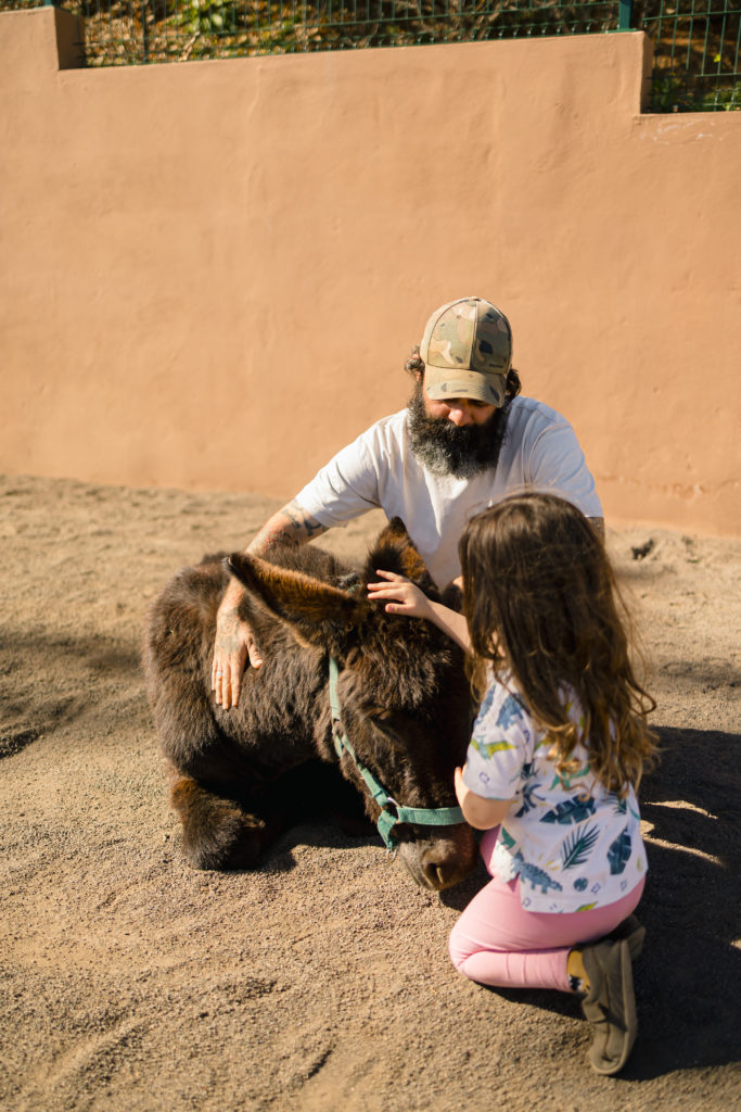 Finca el Burrero, el paraíso de Ana y Samu que triunfa en Tenerife
