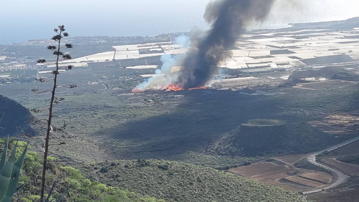 El incendio en la autopista TF-1 obliga a evacuar de urgencia un albergue: los animales, en peligro