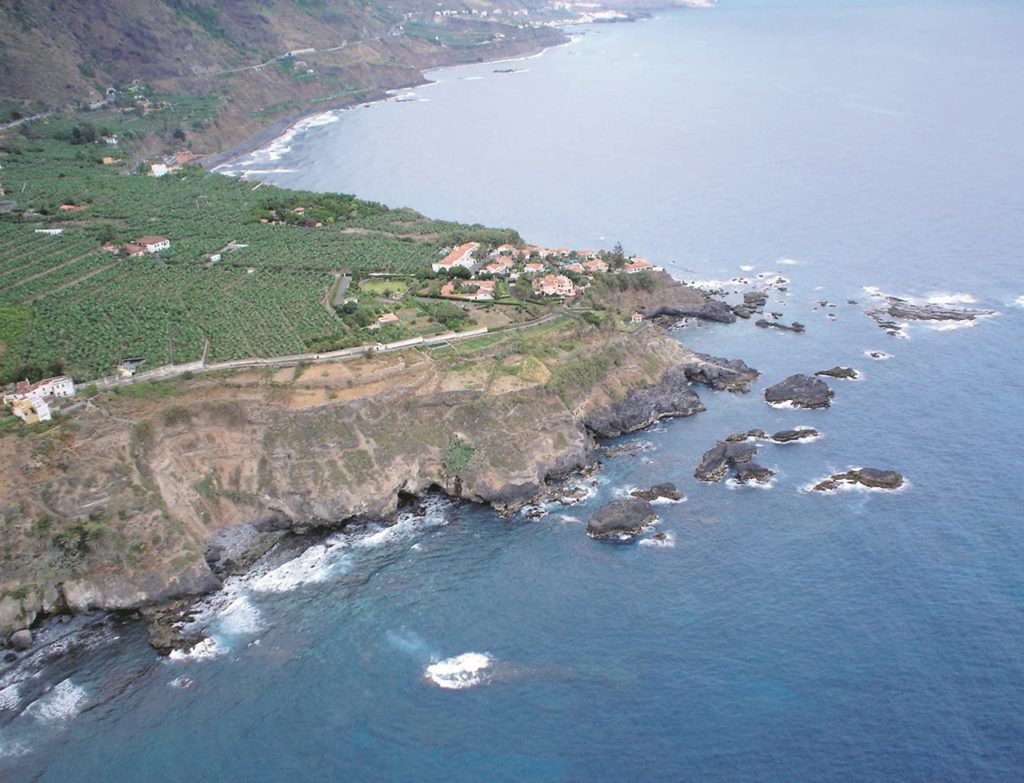 La Rambla de Castro, en Los Realejos, cuenta con el último palmeral de costa de la isla de Tenerife. DA