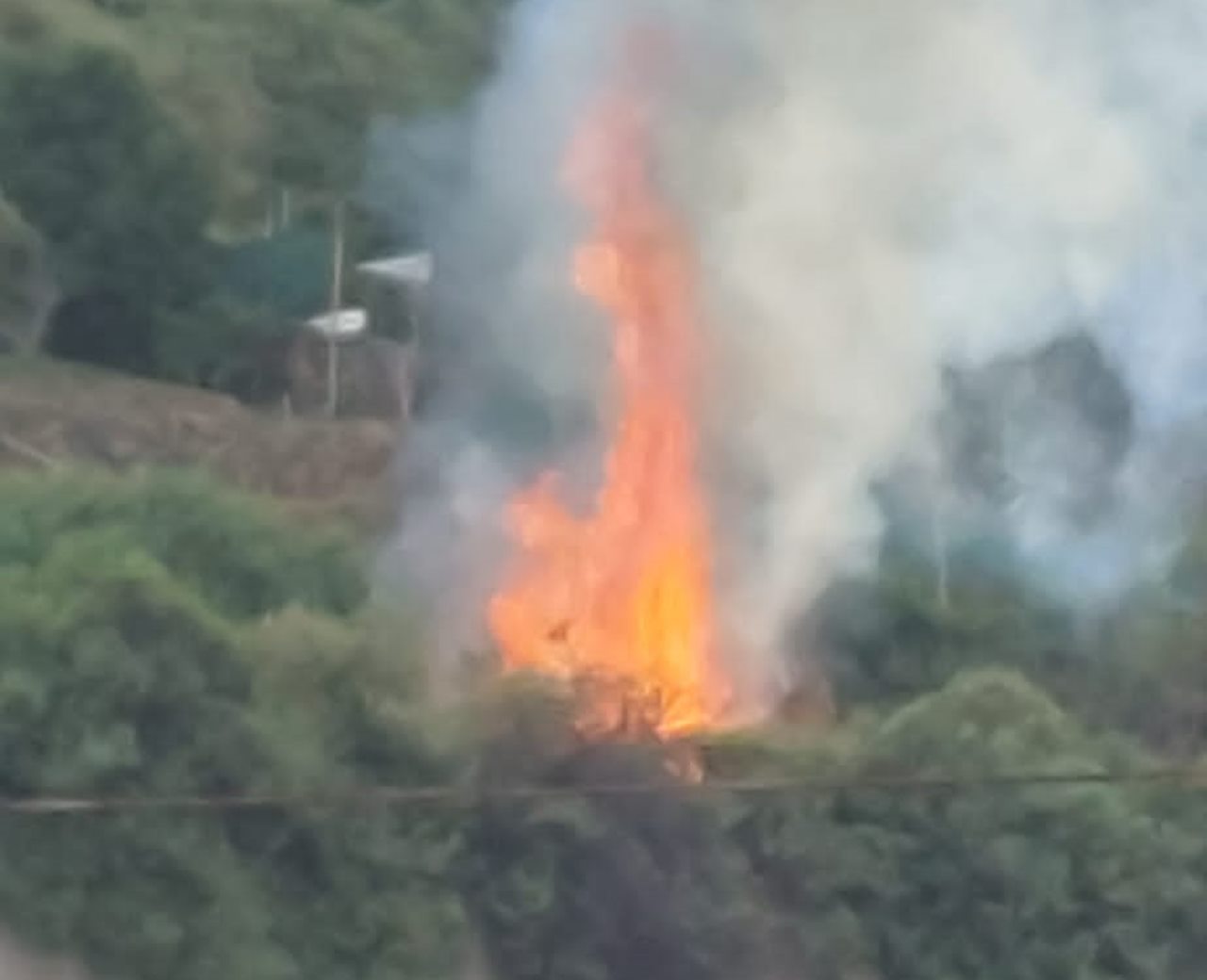 'Susto' en San Juan de la Rambla por el incendio de un árbol cerca de ...