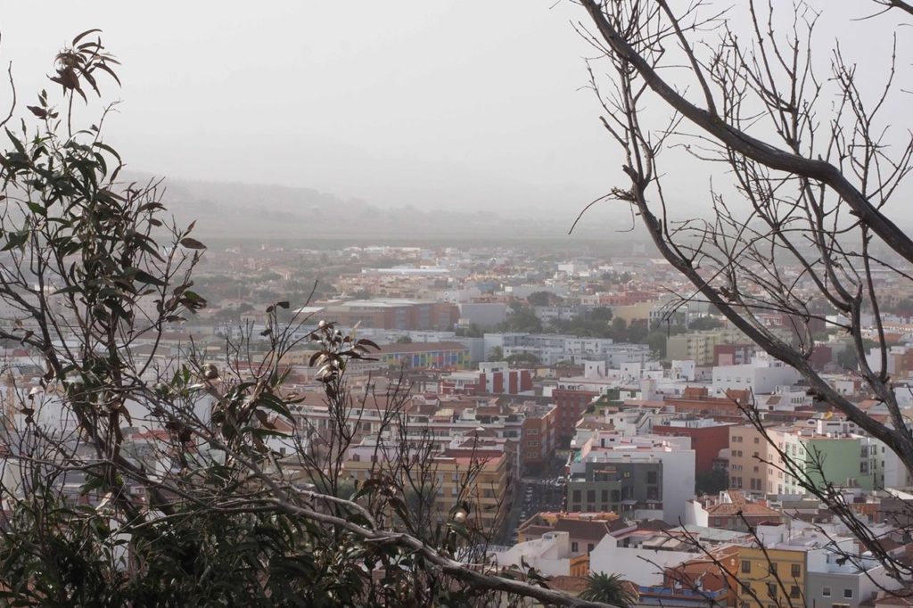 La previsión meteorológica de la Aemet para hoy en Santa Cruz de Tenerife contempla una ligera calima que remitirá por la tarde. Sergio Méndez