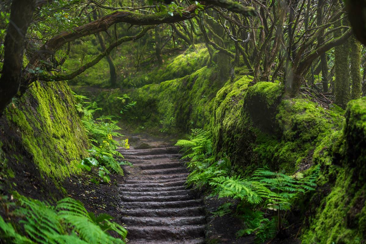 Maravillas de Tenerife que hay que ver, al menos, una vez en la vida