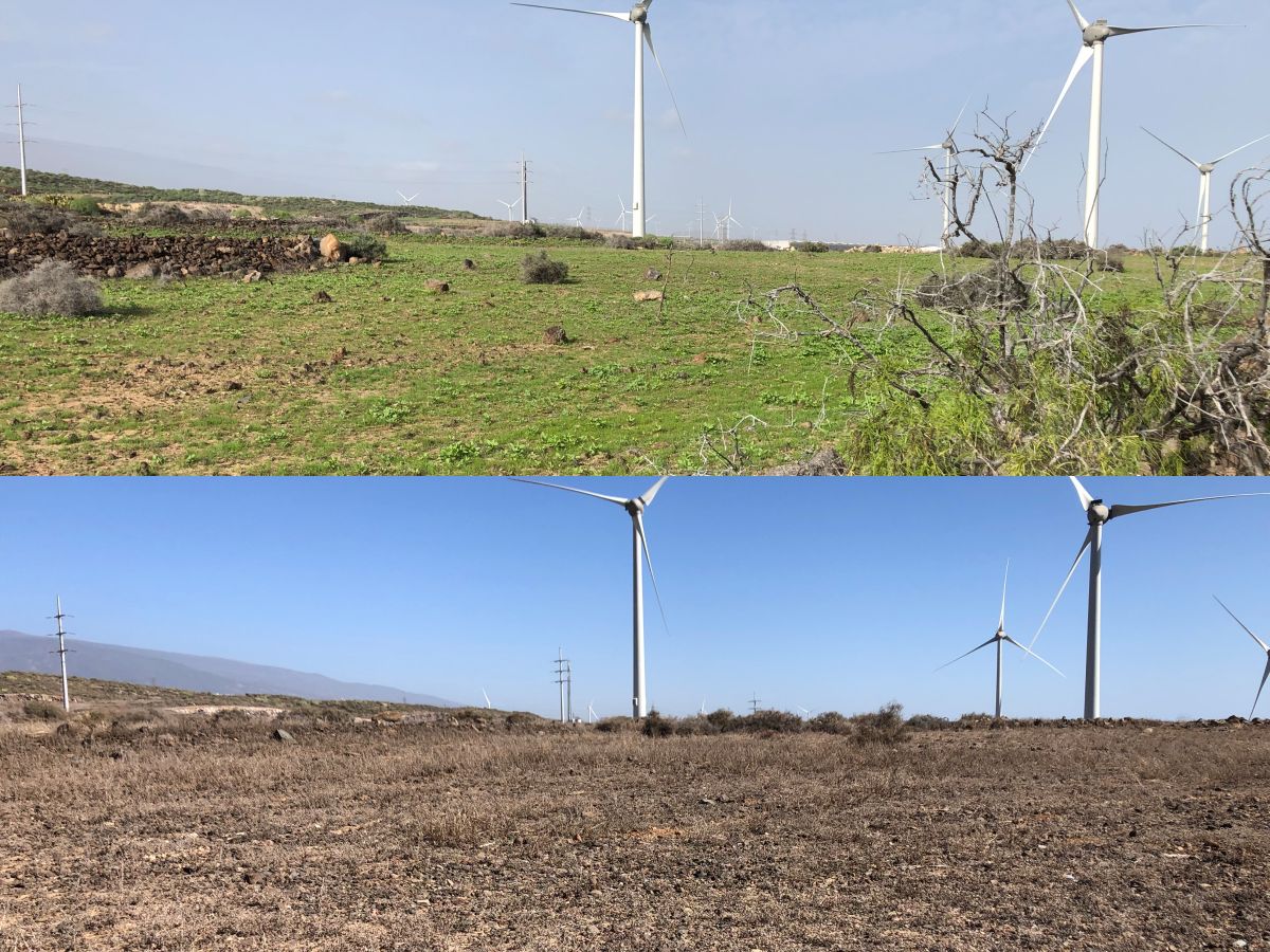 De los otoños verdes al invierno más seco
