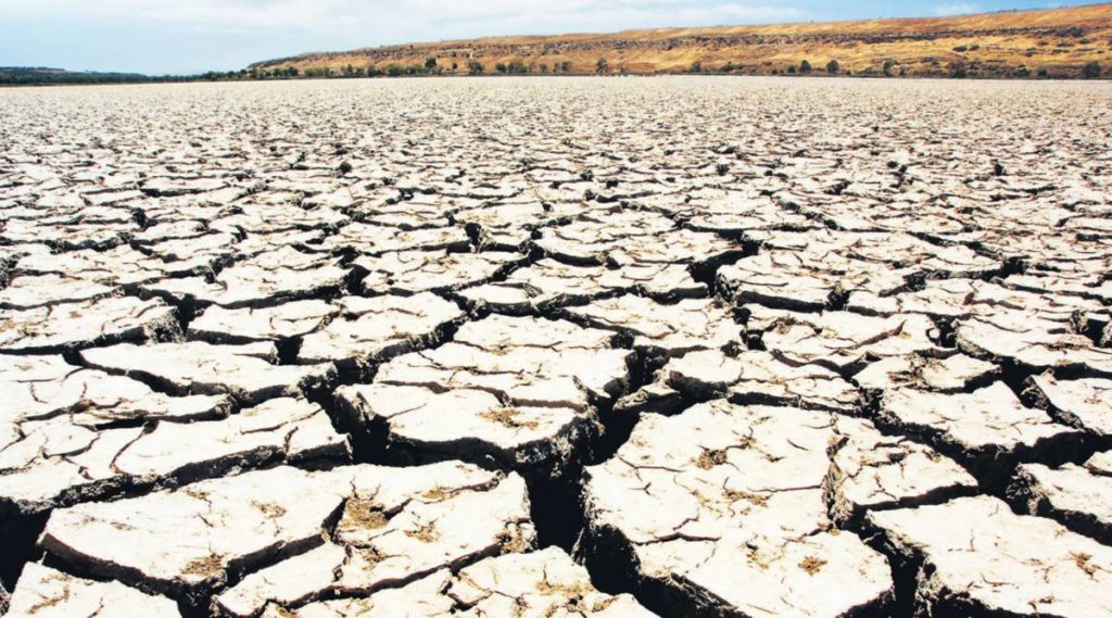 Convocan una cumbre urgente en Canarias por la sequía extrema