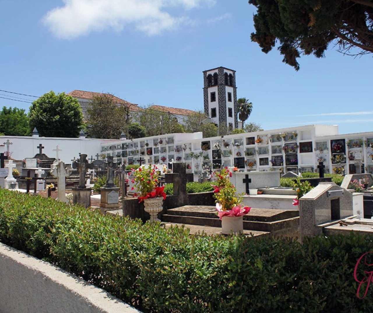 Cementerio de Tacoronte. DA