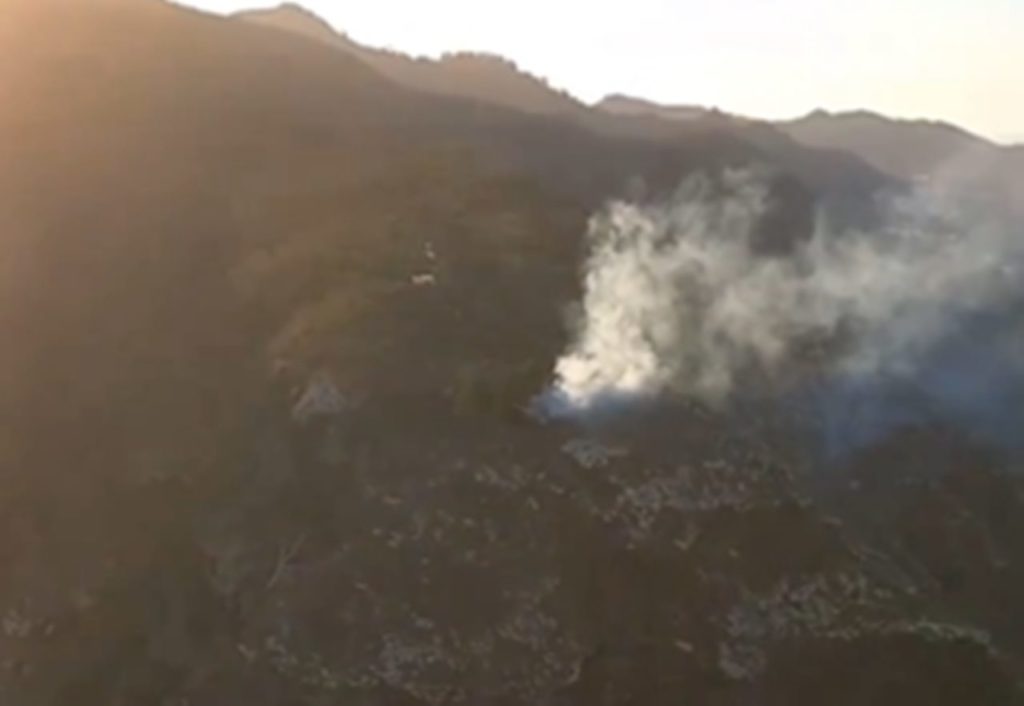 Declarado un conato de incendio forestal en Tegueste