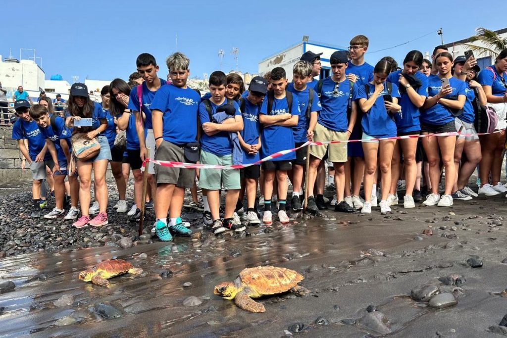 200 personas participan en una limpieza de la playa de Agaete organizada por Fred. Olsen Express