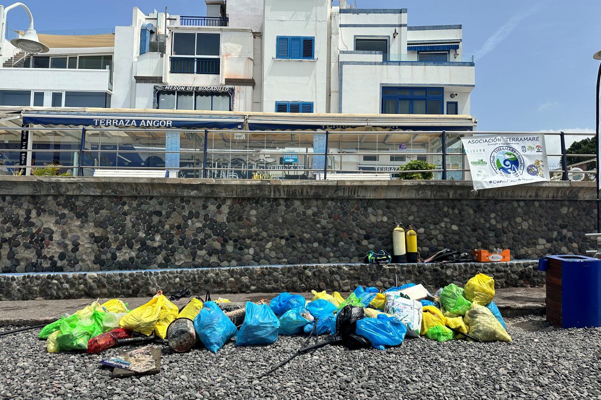 200 personas participan en una limpieza de la playa de Agaete organizada por Fred. Olsen Express