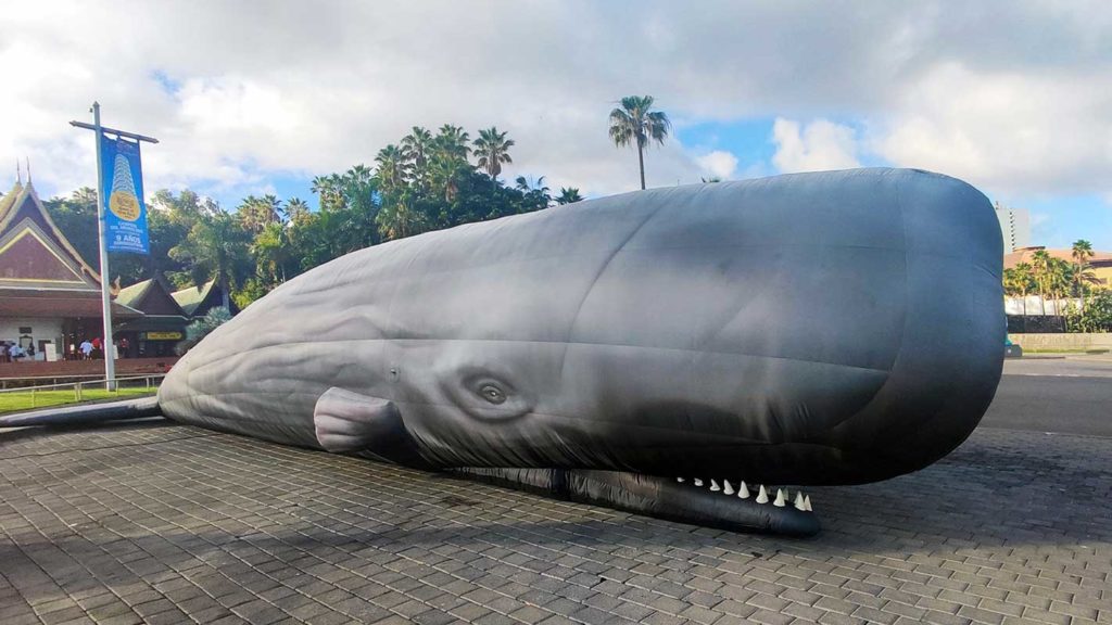 Loro Parque Fundación pone en marcha una exposición para descubrir a los cetáceos