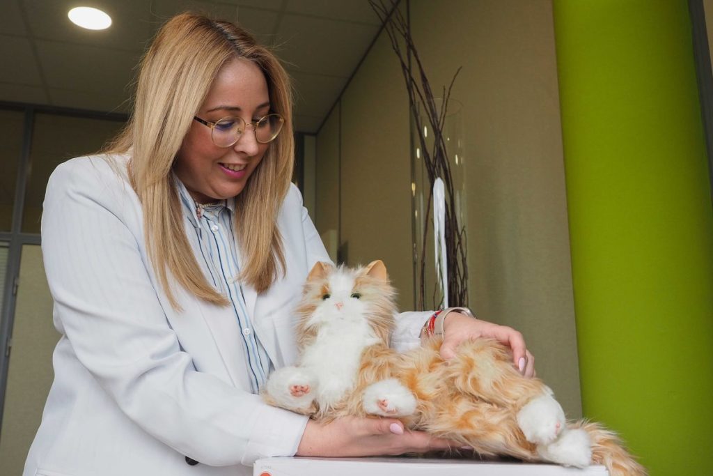 Usan gatos robots por primera vez en Canarias para tratar la demencia y el alzhéimer