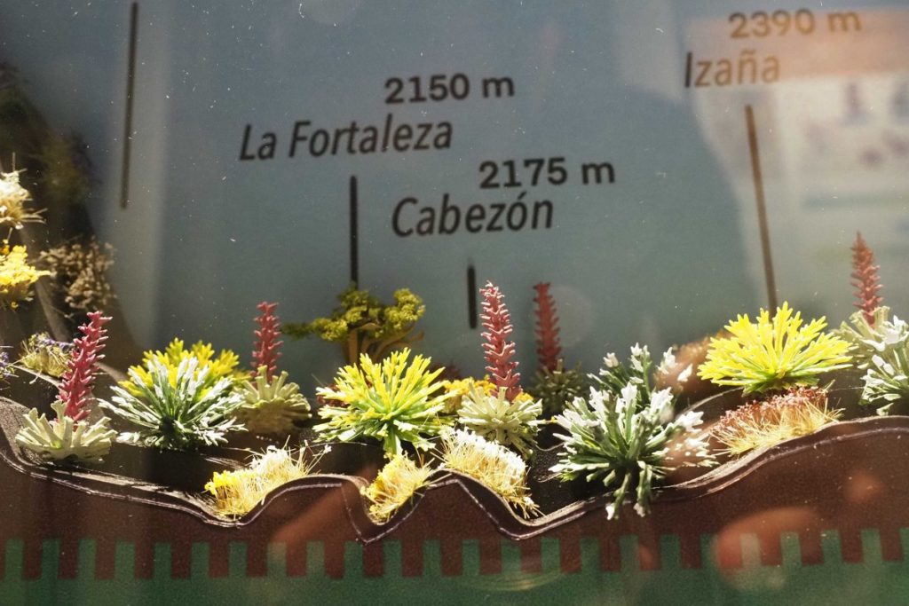 Fundoro