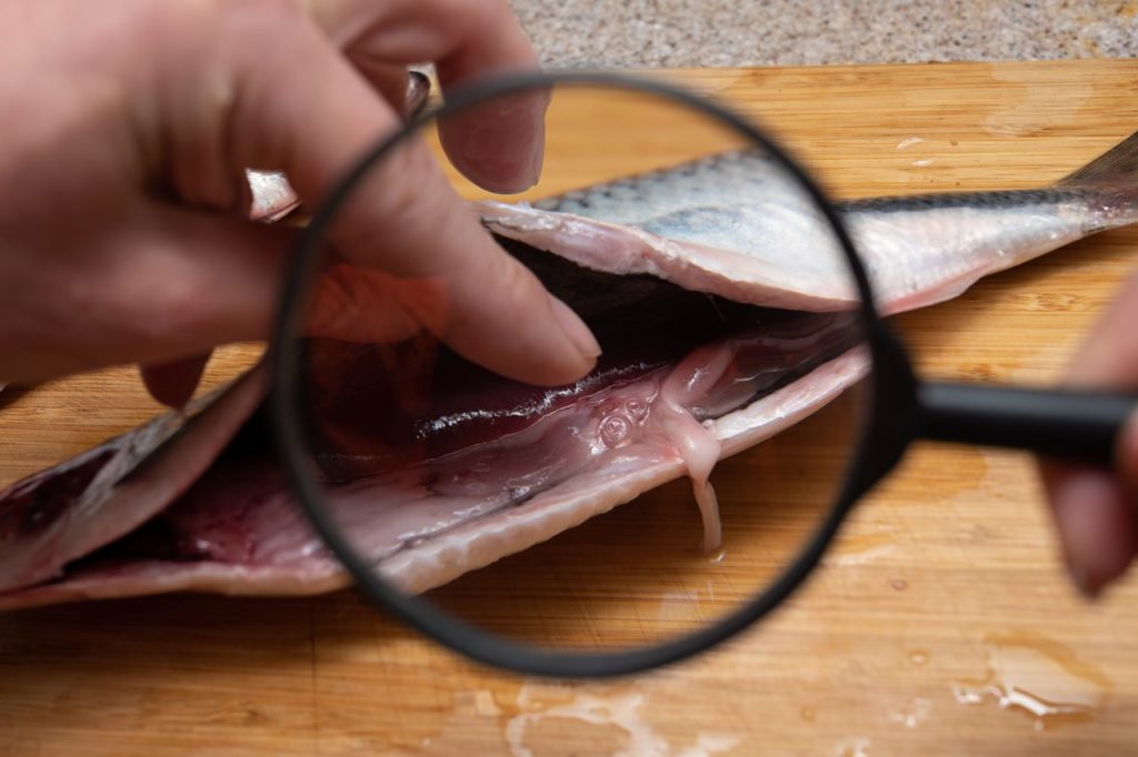 Ordenan la retirada en España de un pescado contaminado con anisakis