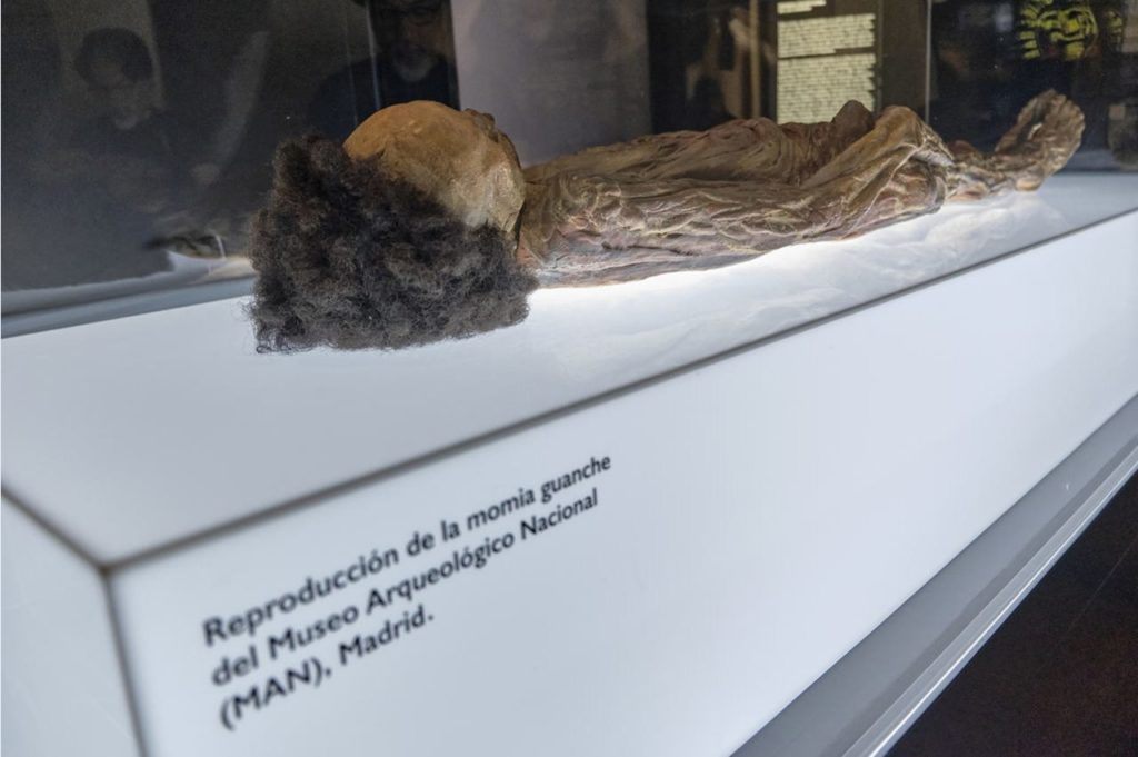 Novedades en el traslado de la momia guanche de Madrid a Tenerife