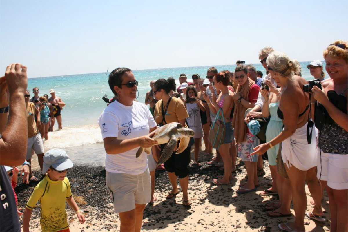 Binter da alas a Avanfuer para la reintroducción de la tortuga boba en Canarias