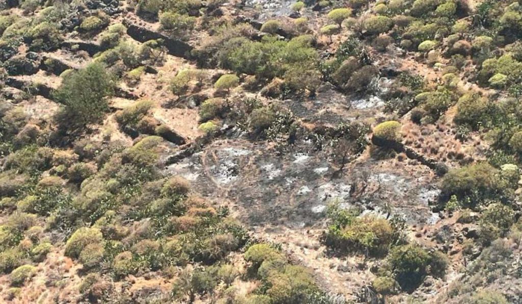 Extinguido el conato de incendio de El Hierro con 1.000 metros cuadrados afectados