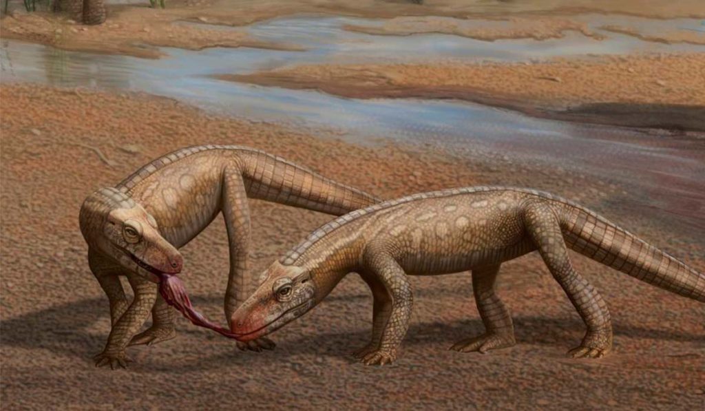 Descubren un pequeño reptil depredador del Triásico