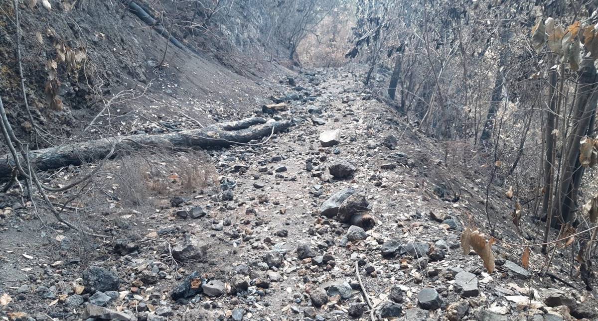 Detienen al presunto responsable de provocar tres incendios en Tenerife
