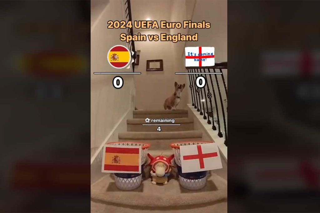 España vs. Inglaterra en la final de la Eurocopa: esta es la predicción del perro más famoso de TikTok