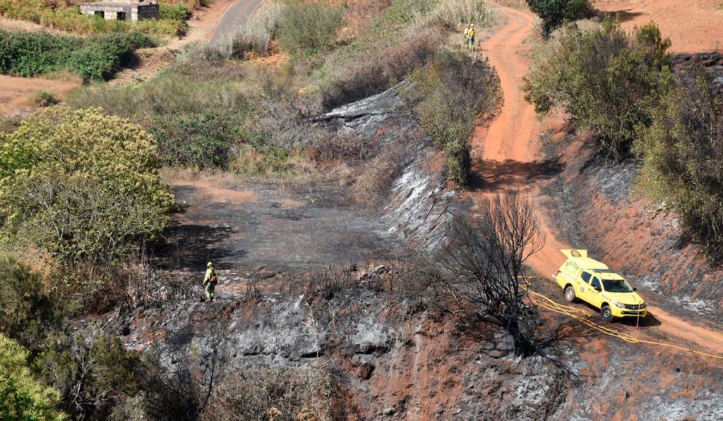 Piden la colaboración ciudadana para detener a dos pirómanos