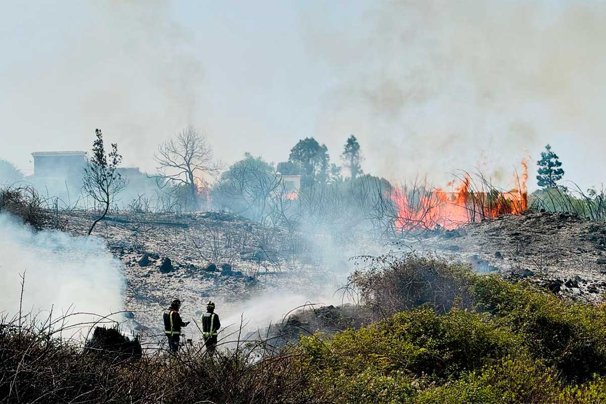 Una quema de rastrojos provoca un incendio en un solar urbano de La Esparanza