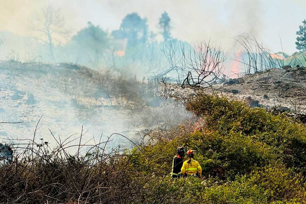 Una quema de rastrojos provoca un incendio en un solar urbano de La Esparanza