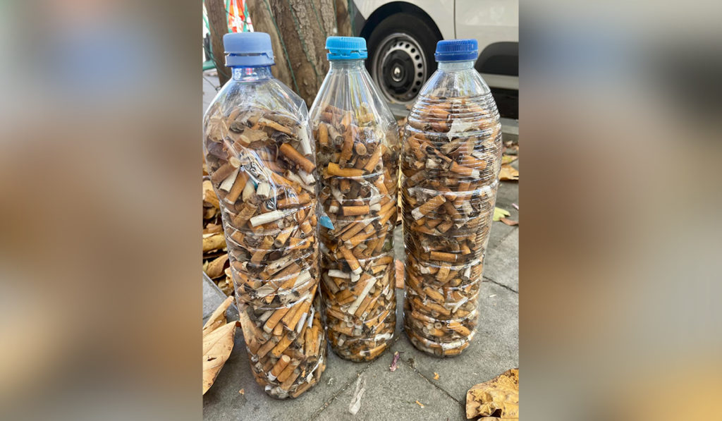 Árboles llenos de colillas en Santa Cruz: "Los ciudadanos tenemos que ayudar"