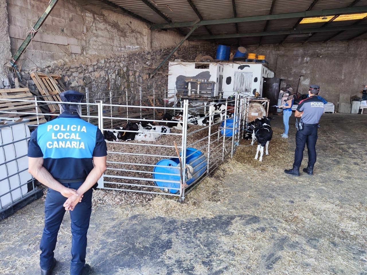 Policías se presentan en una granja de Tenerife y lo que encuentran los deja sin palabras