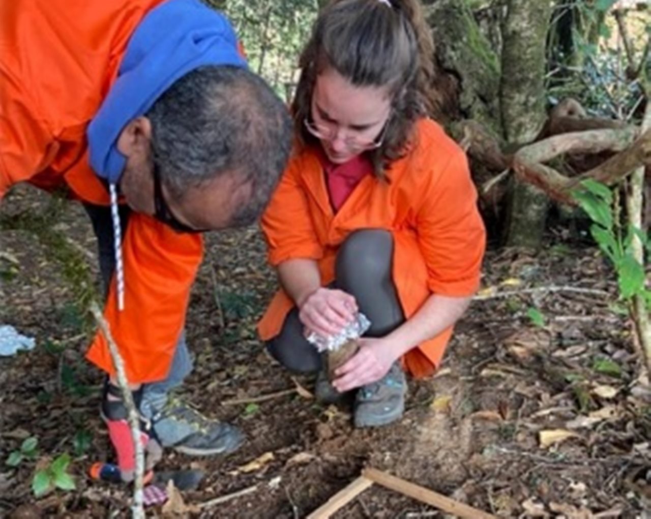 Los investigadores recogieron muestras en diferentes ubicaciones del parque, tanto en el suelo como en el agua. DA