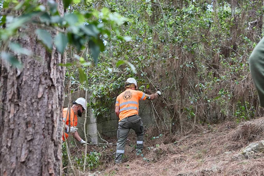 El Cabildo impulsa el Plan de Medianías de Tenerife para prevenir los incendios forestales