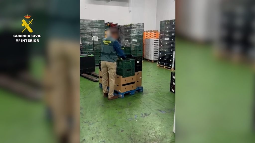 Intervienen 270 kilos de aguacates en Tenerife