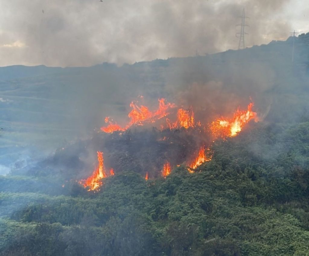 Cinco años de cárcel para el hombre que provocó el incendio forestal en Los Realejos