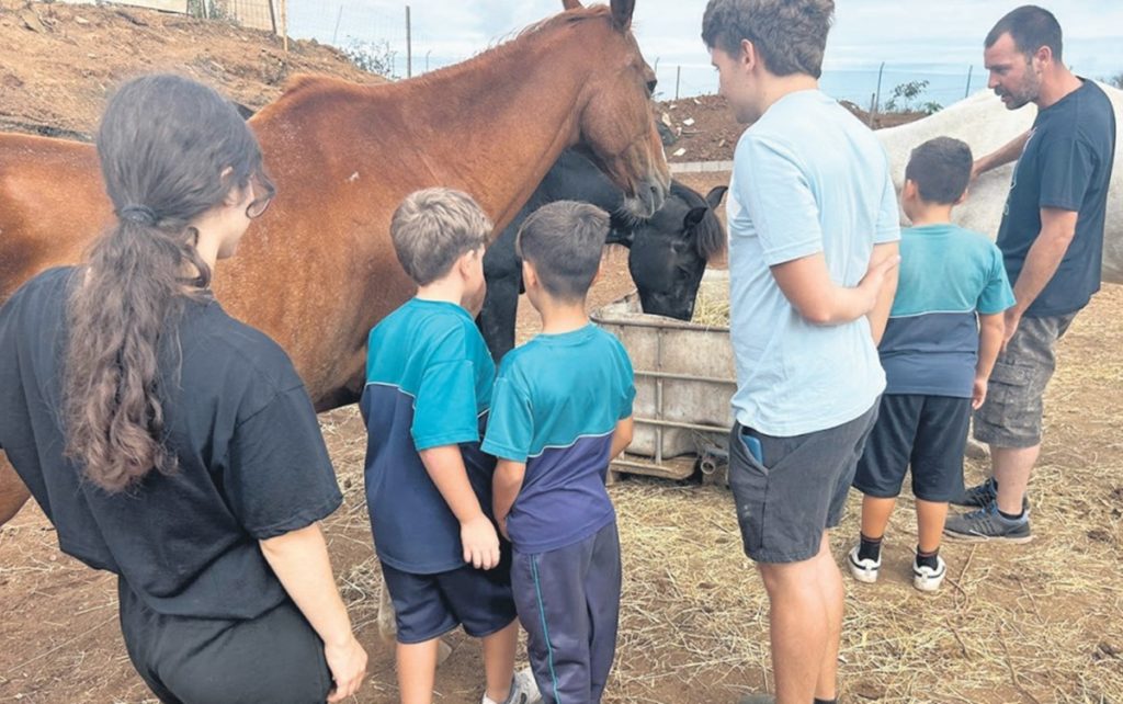 Los alumnos de los 27 colegios de La Laguna tendrán acciones formativas con caballos