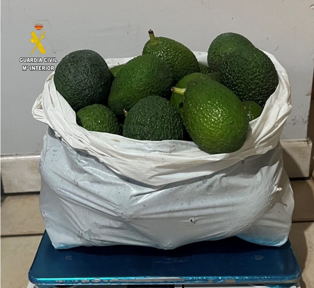 Lo pillan "in fraganti" cuando salía con dos bolsas de aguacates de una finca de Canarias